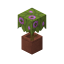 Potted Flowering Azalea icon