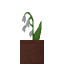 Potted Lily of the Valley icon