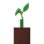 Potted Mangrove Propagule icon