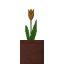 Potted Orange Tulip icon
