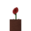Potted Poppy icon