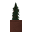 Potted Spruce Sapling icon