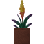 Potted Torchflower icon