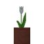 Potted White Tulip icon
