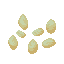 Pumpkin Seeds icon