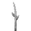 Pale Pumpkin Stem icon