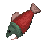 Raw Salmon icon