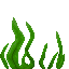 Seagrass icon
