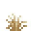 Short Dry Grass icon