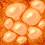 Shroomlight icon
