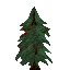 Spruce Sapling icon
