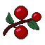 Sweet Berries icon