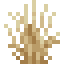 Tall Dry Grass icon
