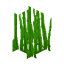 Tall Seagrass icon