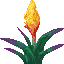 Torchflower icon