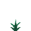 Torchflower Crop icon