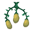 Torchflower Seeds icon