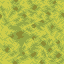 Wet Sponge icon