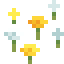 Wildflowers icon