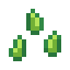 Experience Seeds icon
