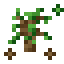 Wood Essence icon