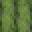 Alluaudia Bundle icon