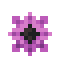 Anemone icon