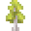 Aspen Sapling icon