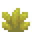 Aureate Succulent icon