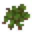 Azolla icon