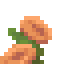 Begonia icon