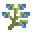 Blue Bulbs icon