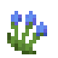 Bluebell icon