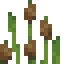 Cattail icon