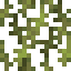 Cedar Leaves icon