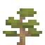 Cedar Sapling icon