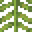 Coconut Leaves icon