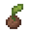 Coconut Sprout icon