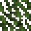 Cypress Leaves icon