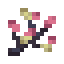 Dwarf Blossoms icon
