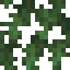 Fir Leaves icon