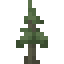 Fir Sapling icon