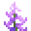 Foxglove icon