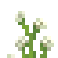 Gardenia icon