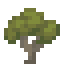Ghaf Sapling icon