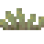Green Bitter Sprouts icon