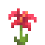Hibiscus icon