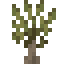 Joshua Sapling icon