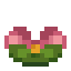 Lotus Flower icon