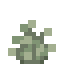Lush Fern icon